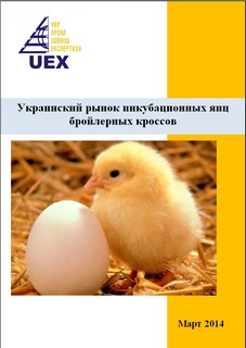 eggs2014th